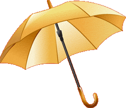 Term Insurance India